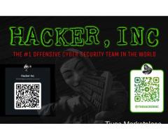 Hacker Inc: Catching Cheaters