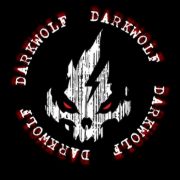 DarkWolf Group